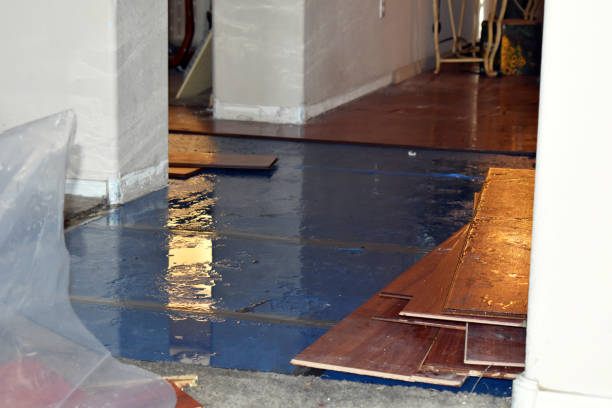 Professional Basement Water Removal technician working in Londonderry, NH